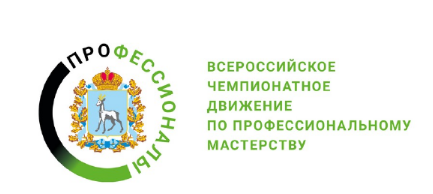 чемпионатное движение по профессиональному мастерству «Профессионалы»